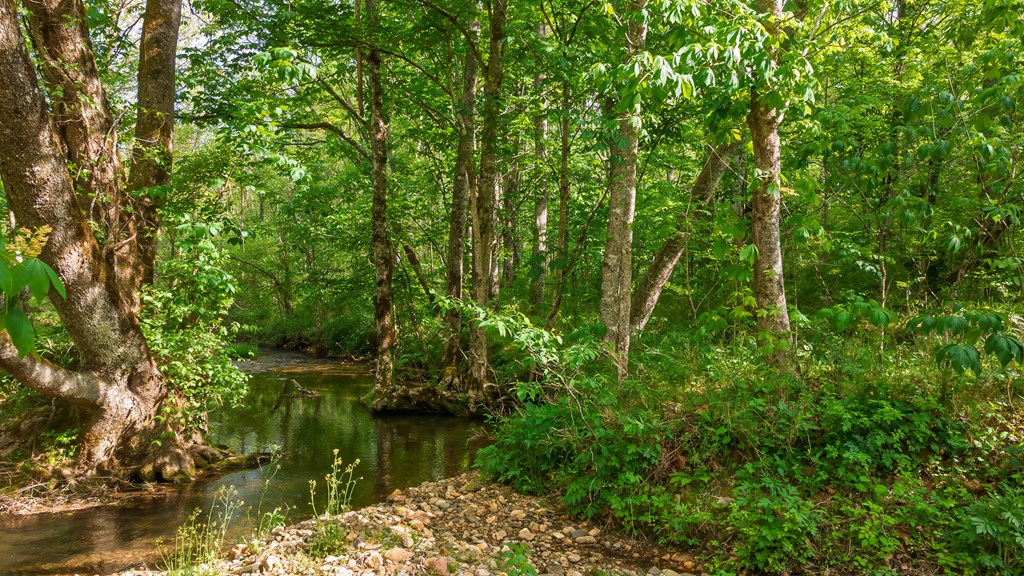 11485 Georgia Road