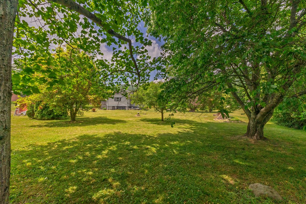 20 Jimmy Morris Rd