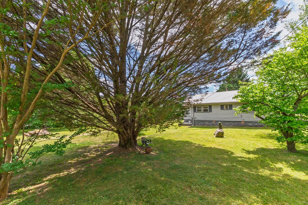 20 Jimmy Morris Rd