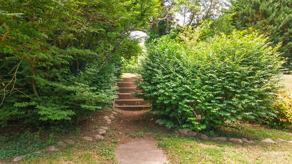 20 Jimmy Morris Rd