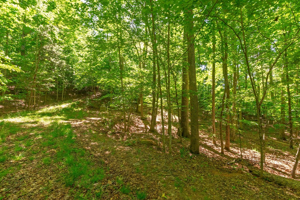58 Camp Ultima Blvd