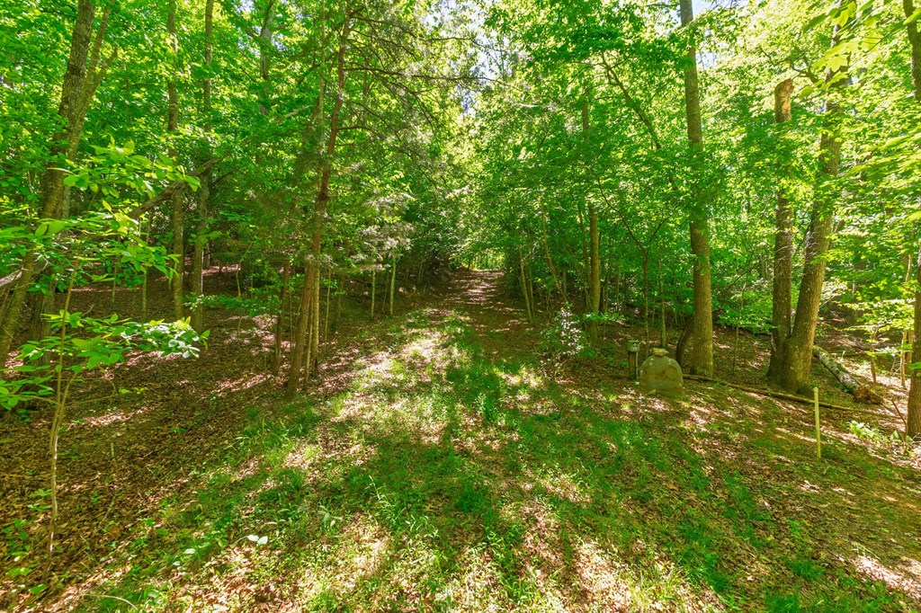 58 Camp Ultima Blvd