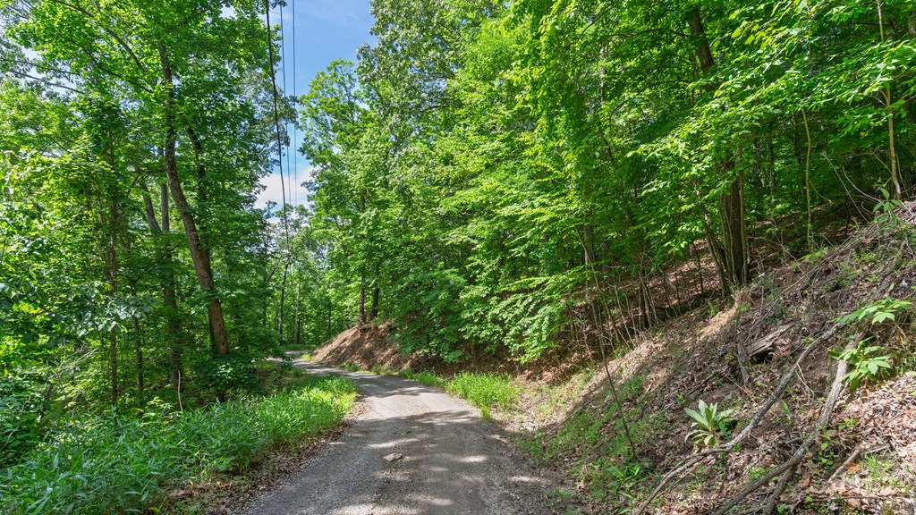 00 Castleman Road