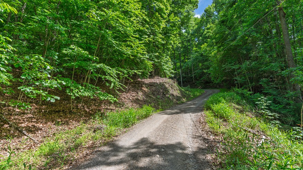 00 Castleman Road