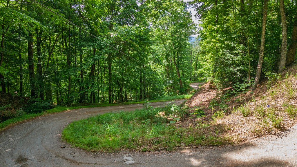 00 Castleman Road