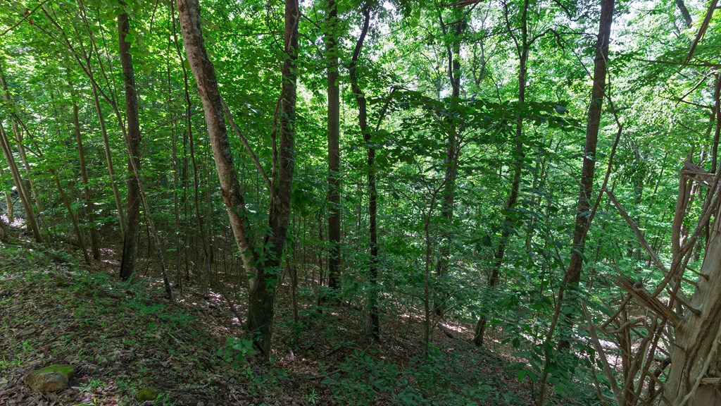 00 Castleman Road