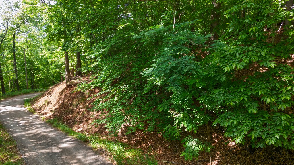 00 Castleman Road