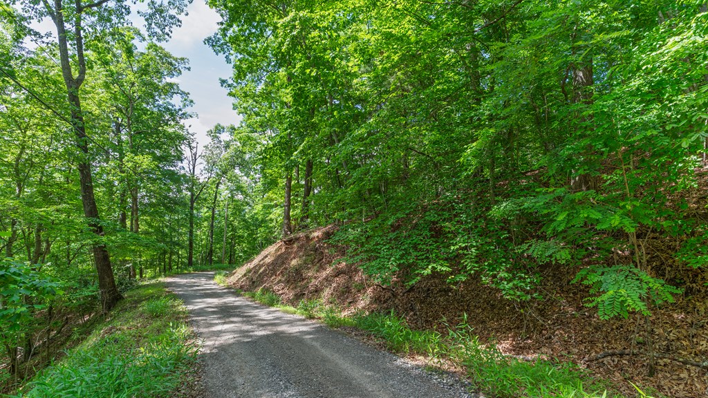 00 Castleman Road