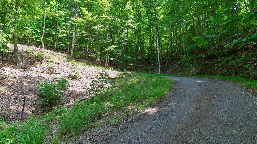 00 Castleman Road