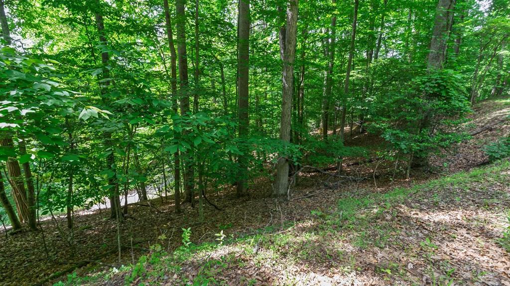 00 Castleman Road