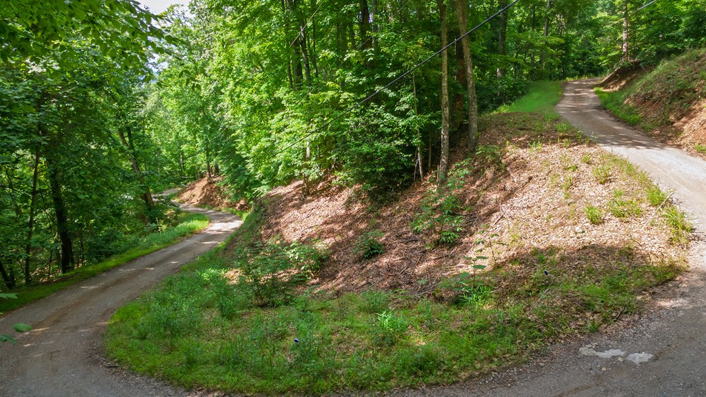 00 Castleman Road