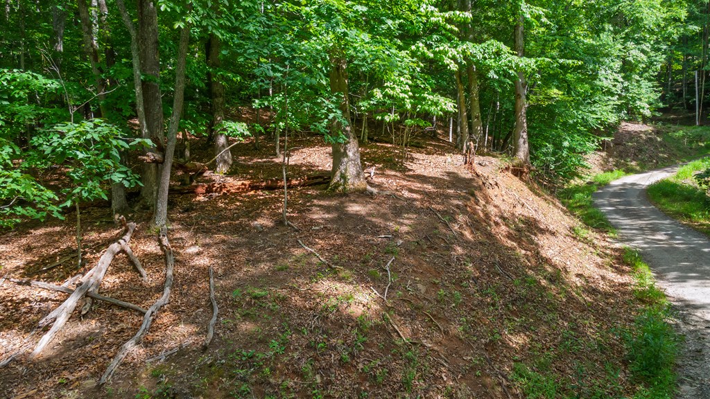 00 Castleman Road