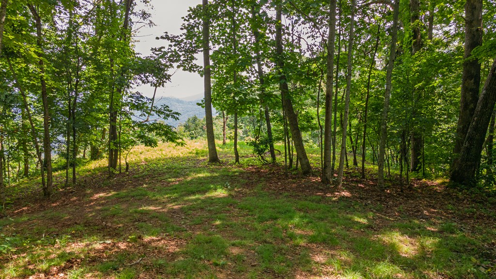 1099 Whisper Mountain Rd