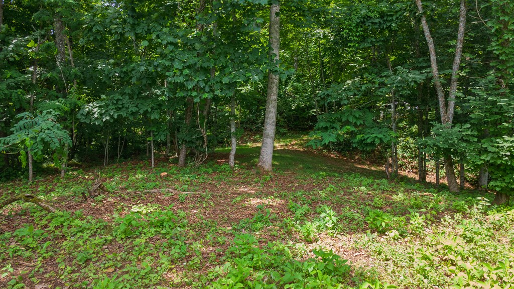 1099 Whisper Mountain Rd