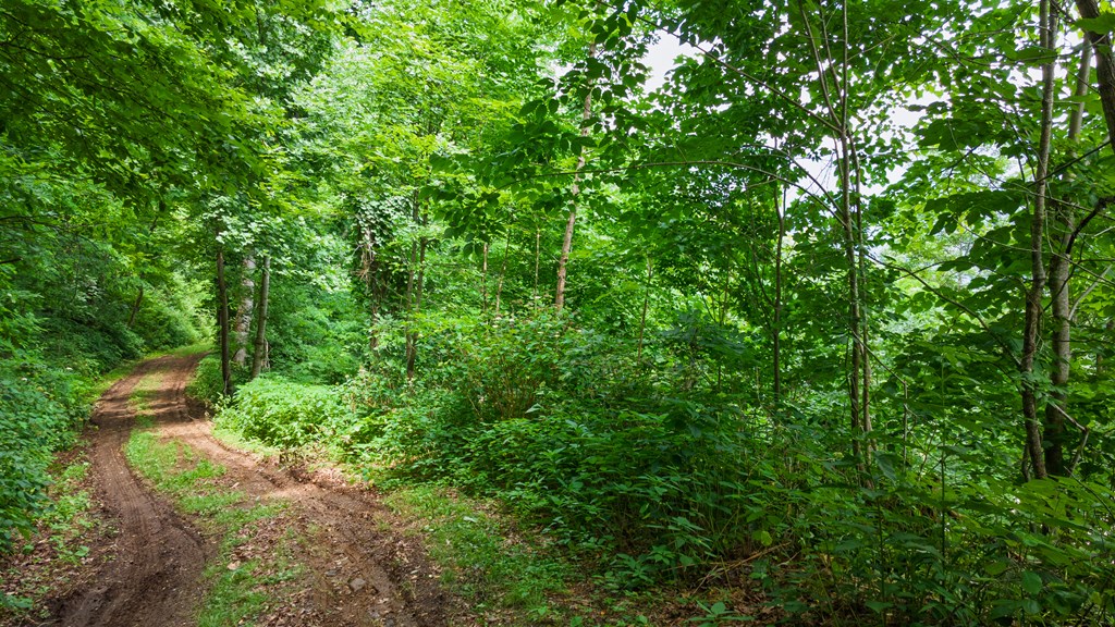 1099 Whisper Mountain Rd