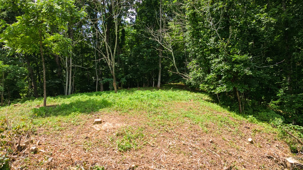1099 Whisper Mountain Rd