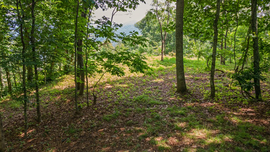 1099 Whisper Mountain Rd