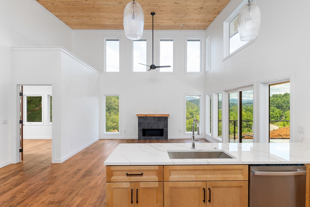 201 Mountain Laurel Ridge
