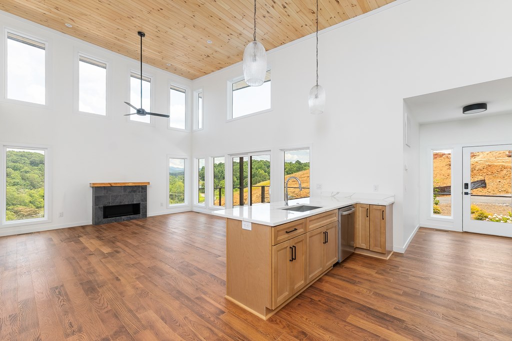 201 Mountain Laurel Ridge