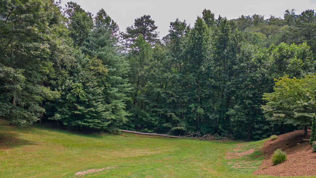 176&172 Battle Branch Ridge Road