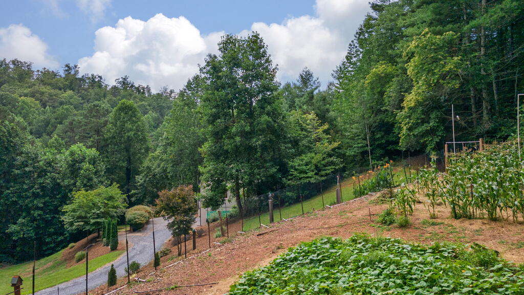 176&172 Battle Branch Ridge Road