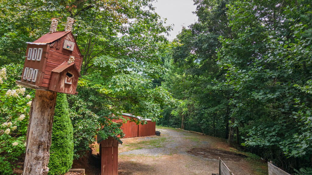 176&172 Battle Branch Ridge Road