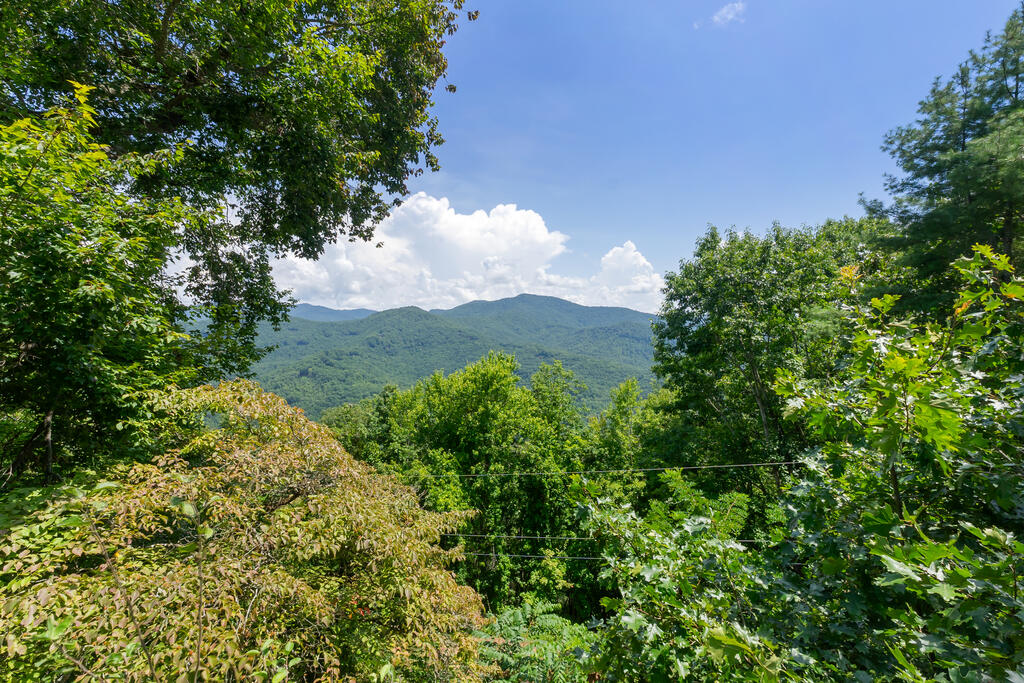 889 BIG RIDGE RD