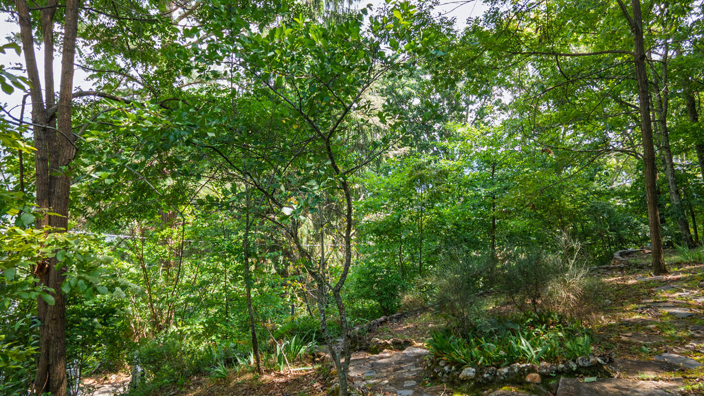 889 BIG RIDGE RD