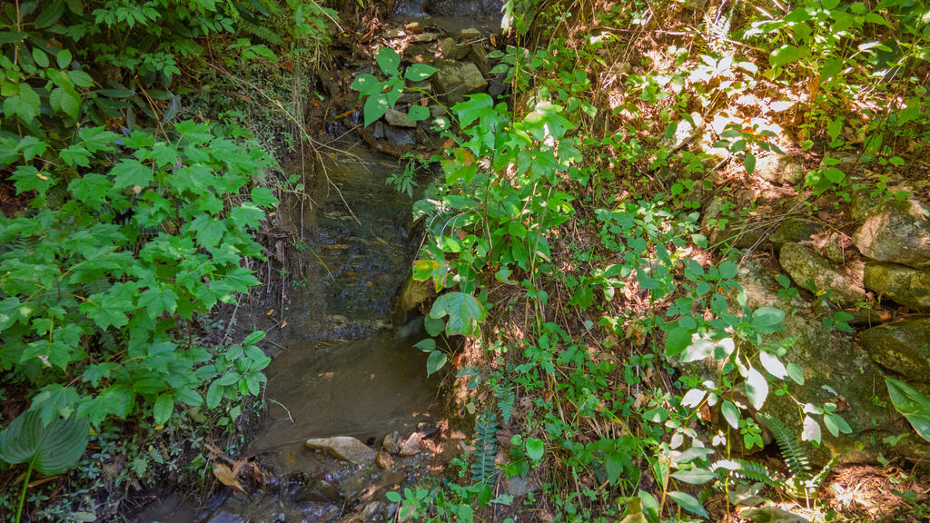 400 Little Hogback mountain