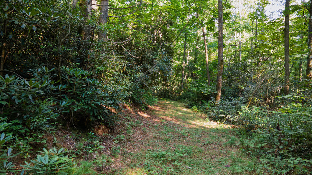 788 Rainey Knobs Rd