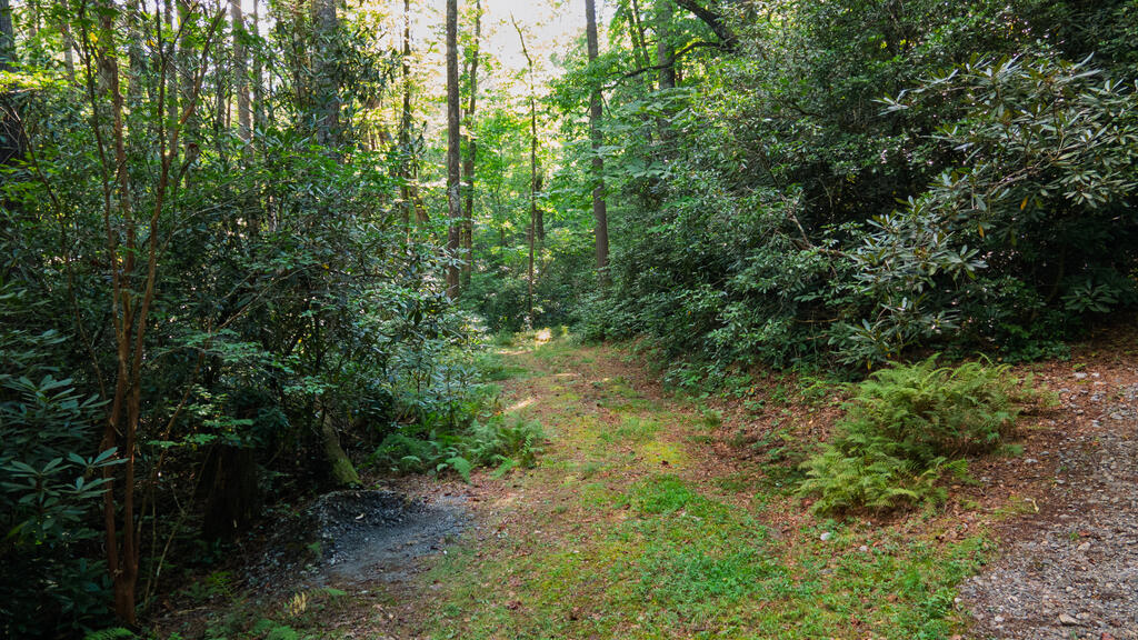 788 Rainey Knobs Rd