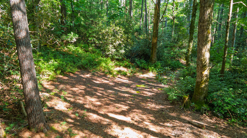 788 Rainey Knobs Rd