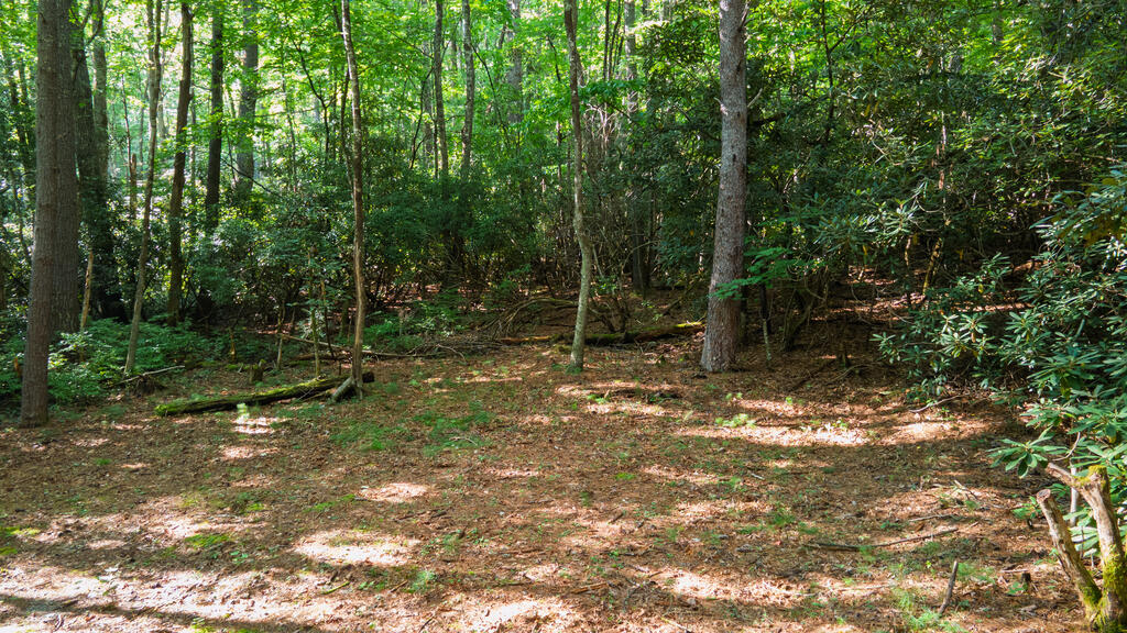 788 Rainey Knobs Rd