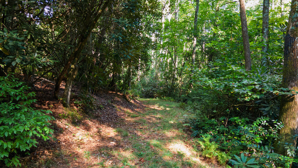 788 Rainey Knobs Rd