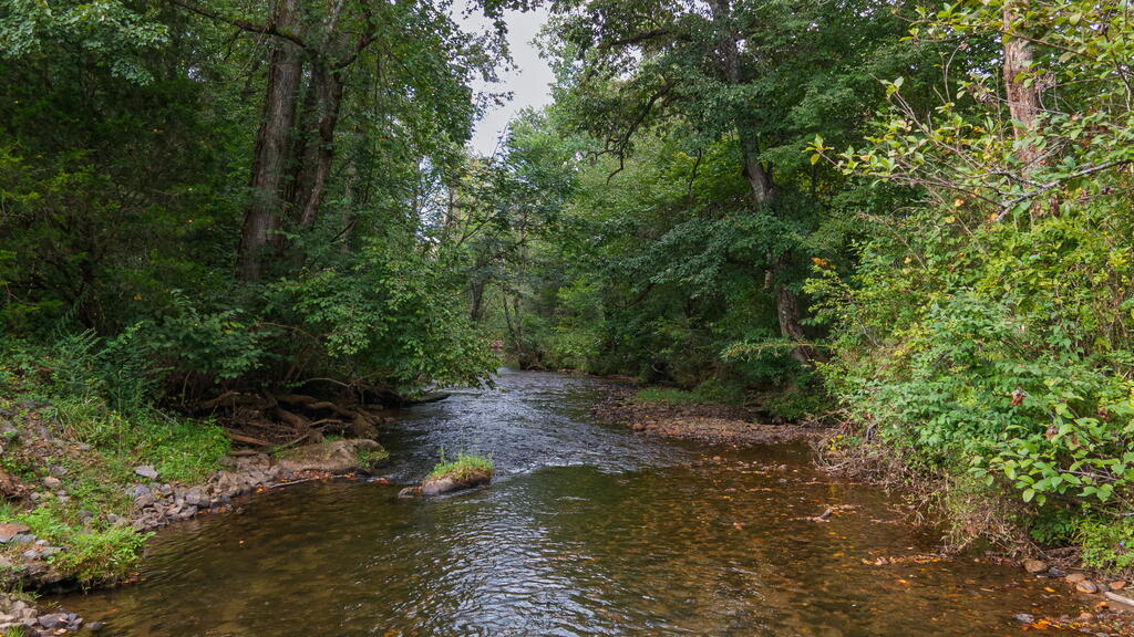 284 Coweeta Lake Circle