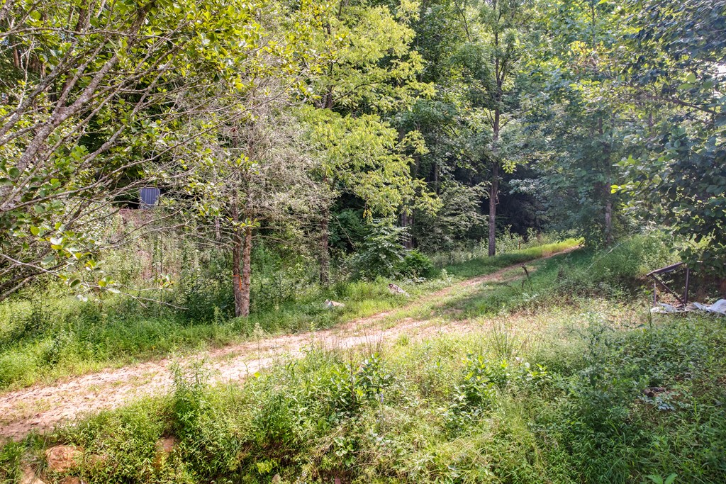 4092 Rose Creek Rd
