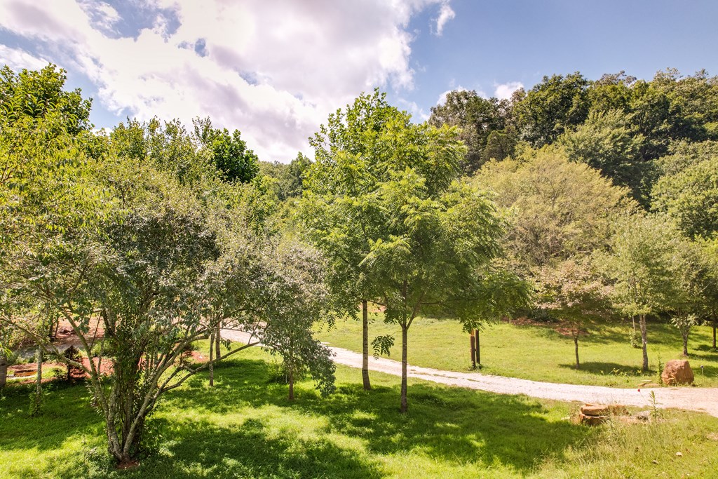 4092 Rose Creek Rd