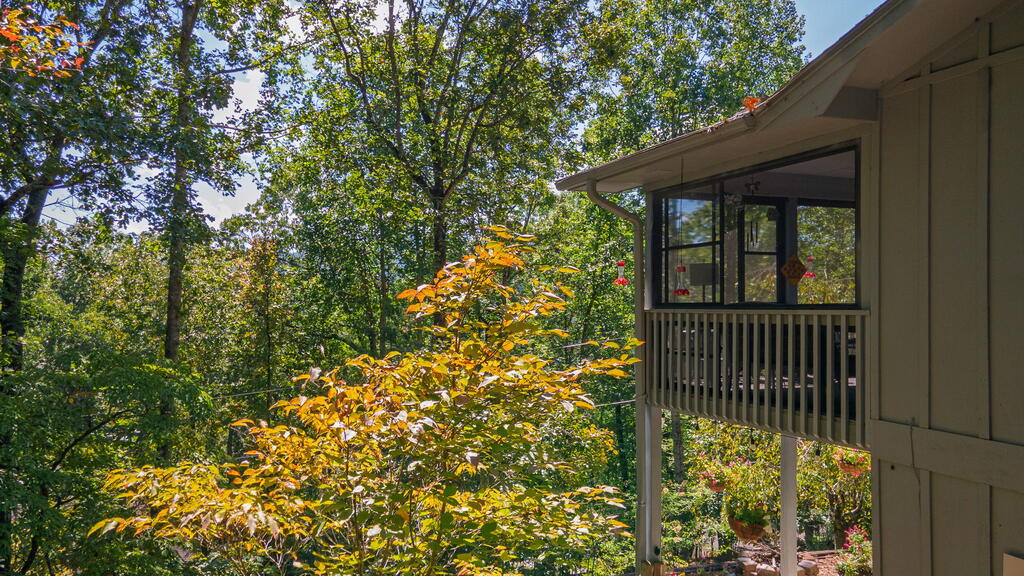 115 TIMBER LN
