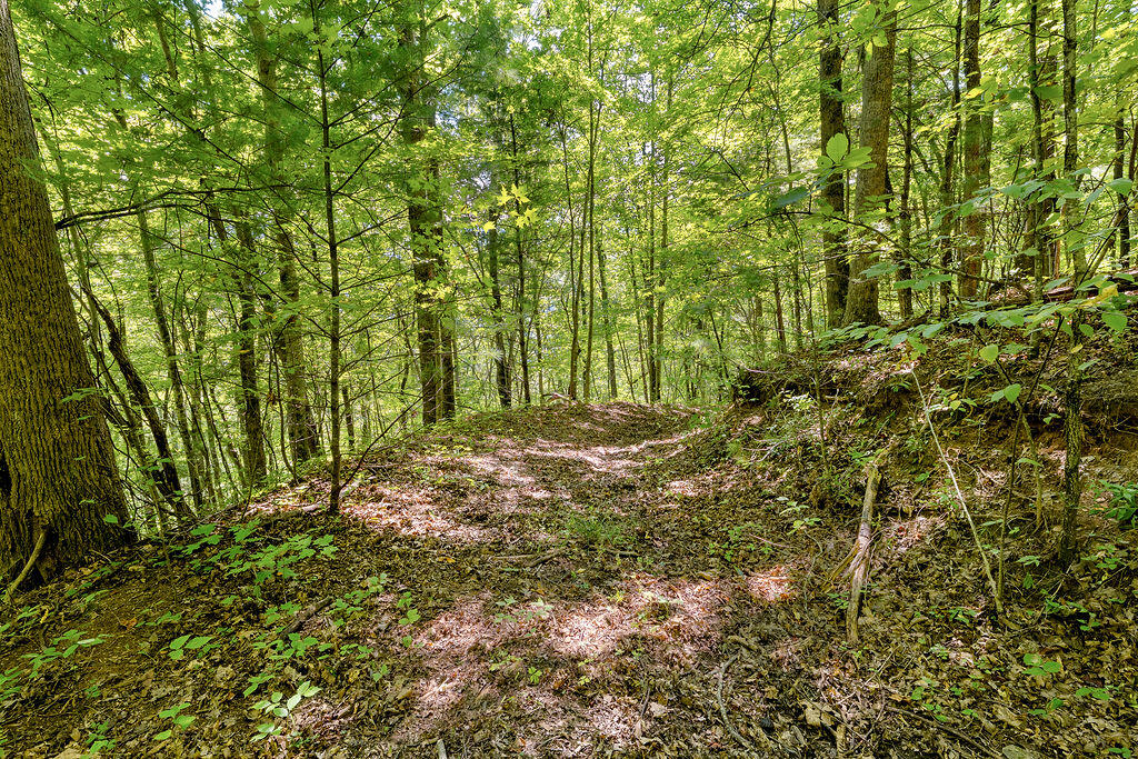 00 Fern Hill Drive