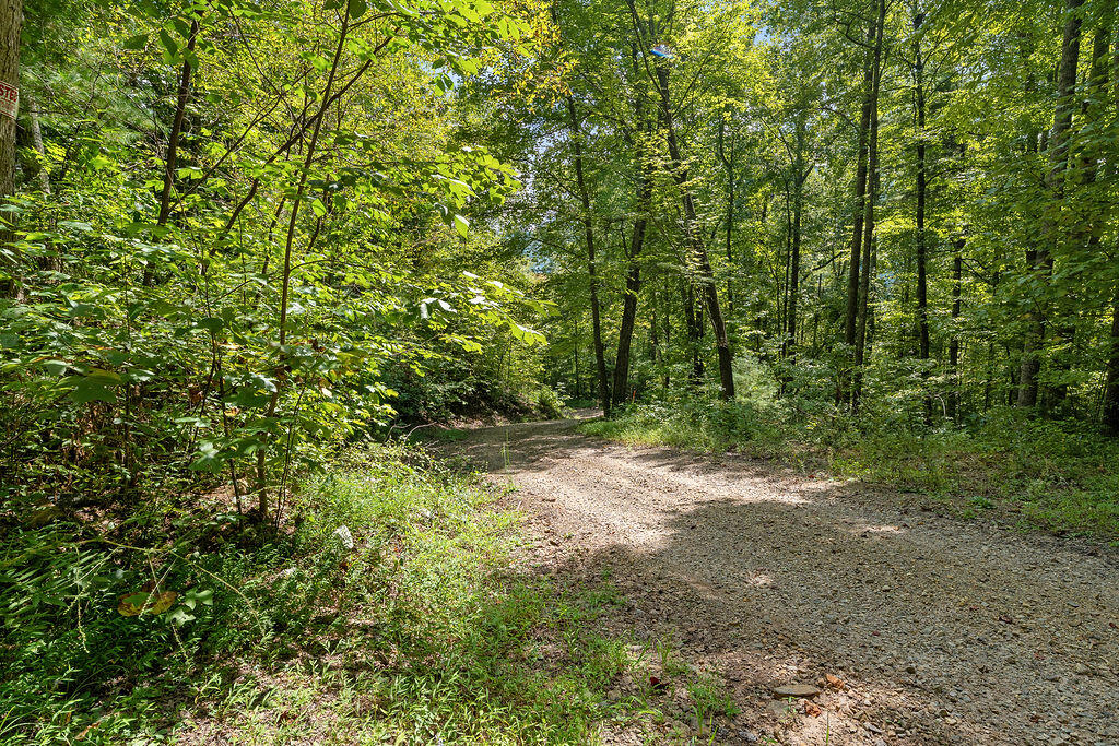 00 Fern Hill Drive