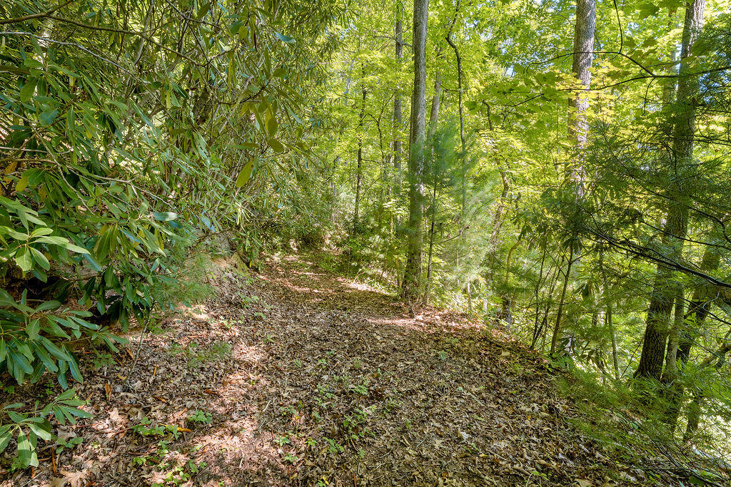 00 Fern Hill Drive