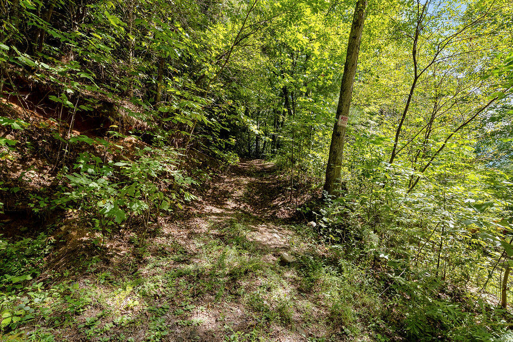 00 Fern Hill Drive