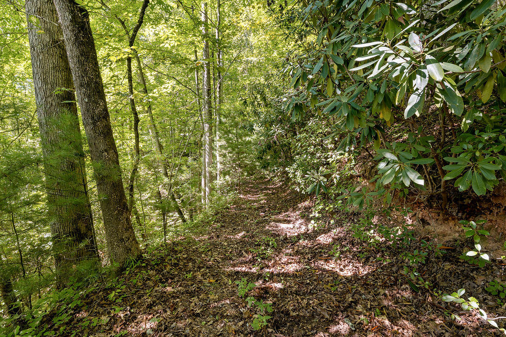 00 Fern Hill Drive