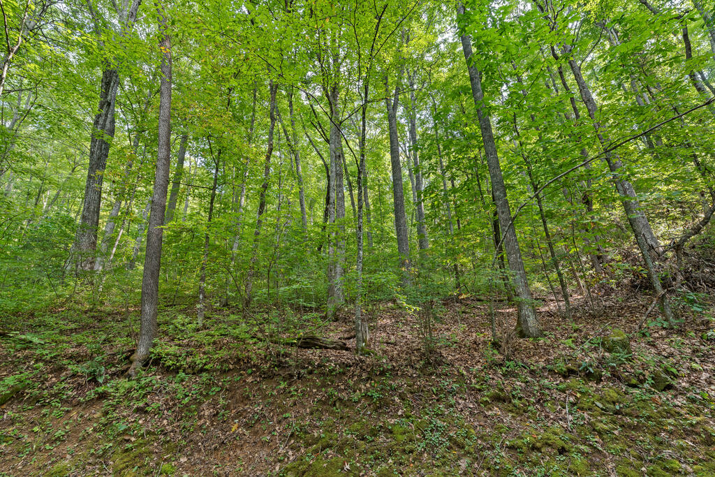 00 Greycliff Mountain