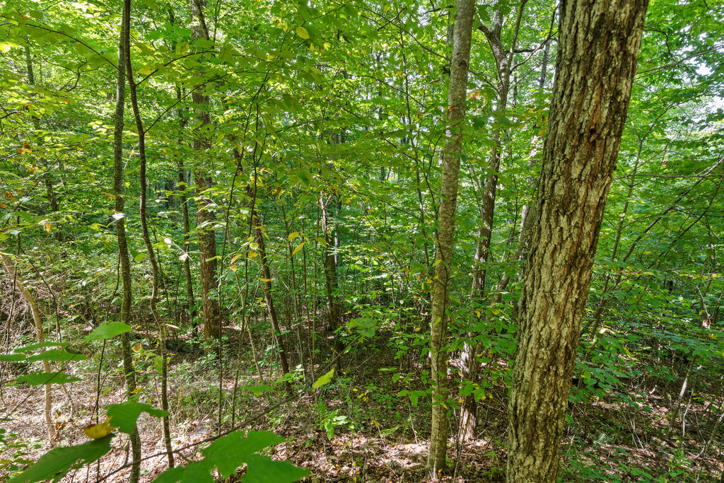 00 Greycliff Mountain