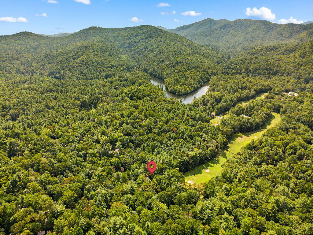 120 HOLLY FOREST CT