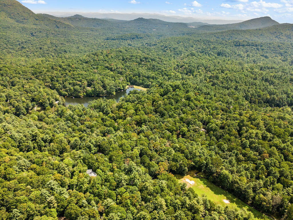 120 HOLLY FOREST CT