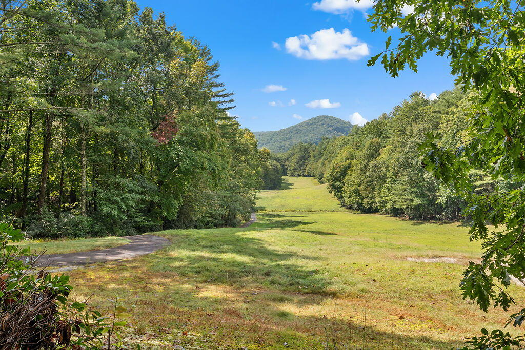 120 HOLLY FOREST CT