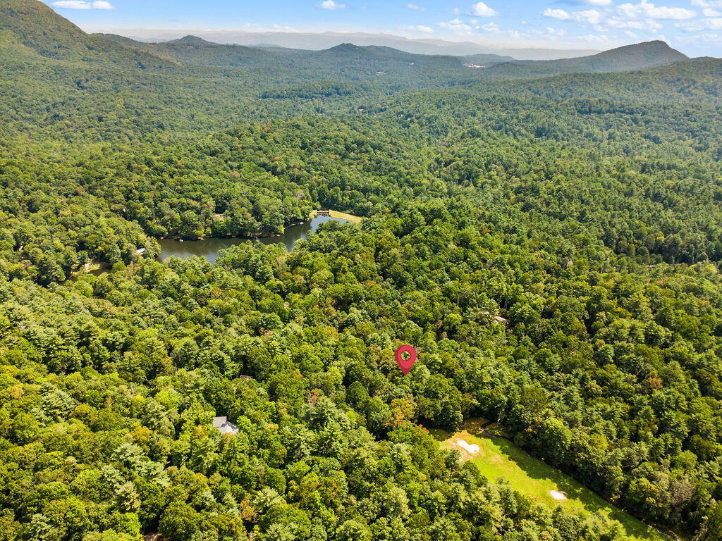 120 HOLLY FOREST CT
