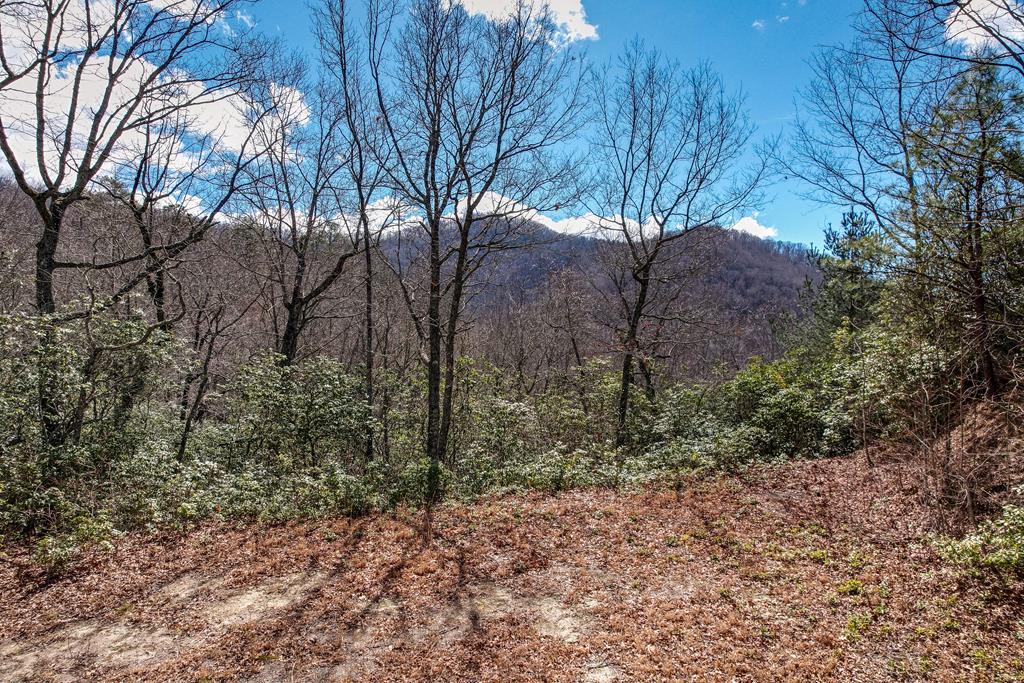 Lot 51 Highlands Pass LOT 51